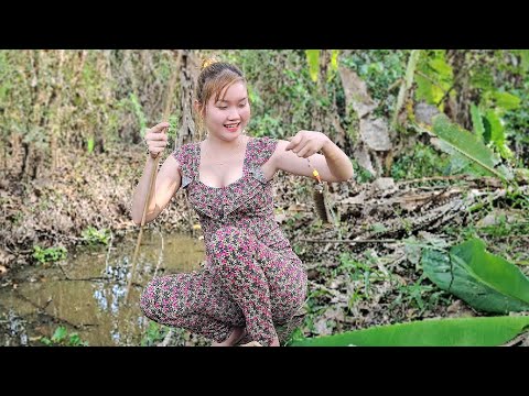 Câu Cá Rô Đồng Khu Rừng Hoang Săn Những Con Cá Núp Dưới