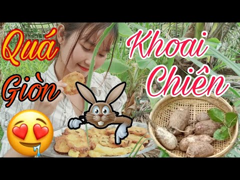 Trúc Phương Đi Tìm Khoai Mì Về Chiên Và Cái Kết Bất Ngờ