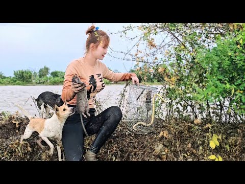 Đào Hang Bắt Rắn Chụp Tay Chuột Cống Nhum Hạng Khủng Trúc