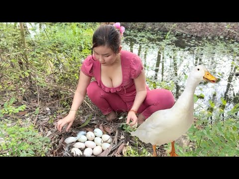 Hốt Hỏ a ng Tìm Chíp Chíp Khắp Nơi Thì Phát Hiện Điều Này