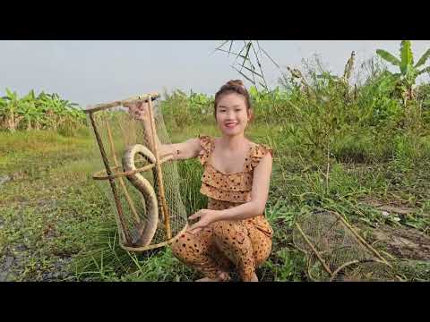 Bắt Con Rắn Lớn Mùa Đông Dài Gần 2 Mét Trúc Phương Vlog