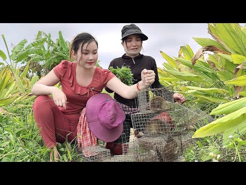 Khu Rừng Từng Bắt Q U Á i Vật 4 Chân Thử Trở Lại Săn Tìm