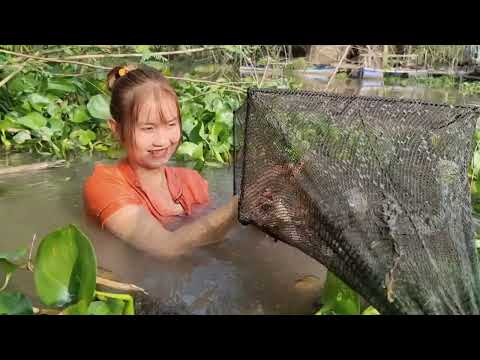 Lặn Sông Bắt Tôm Càng Xanh Lẫn Cá Lau Kiếng Mùa Này Làm Món
