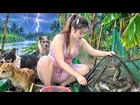 Quá Dáng Sợ SĂN RẮN ĐỘC Mùa Nước Lũ 3 Năm Neo Bẫy Mới B ắt