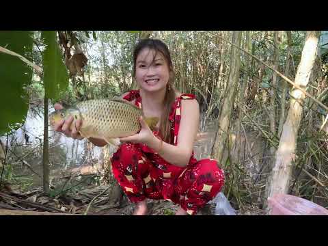 Lần Đầu Săn Dính Con Cá 2 Kg Bằng Cần Câu Không Mồi Strange