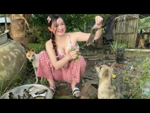 Lao Xuống Ruộng Nước Ngập Đuổi Bắt Cho Bằng Được Con Này
