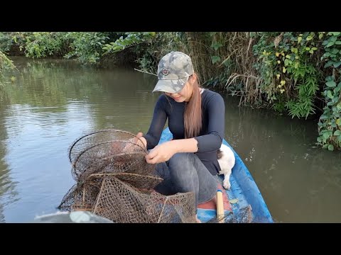 Cô Gái Bẫy Cá Bằng Lú Khu Rừng Hoang Trúng Mánh Lớn Thấy