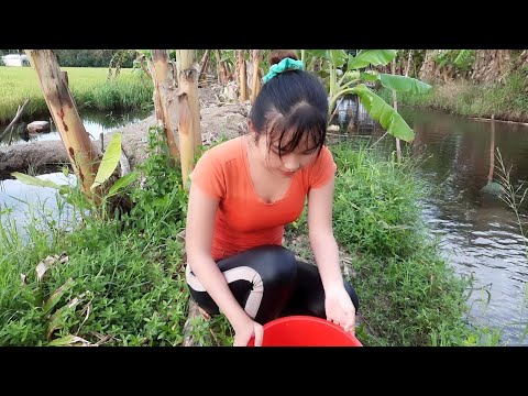 Thôn Nữ Bẫy Cá Lẫn Bẫy Lươn Bằng Tam Dớn Chặn Bích Ngách