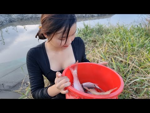 Bẫy Và Bắt Cá Khu Nước Sâu Trúc Phương Trúng Mánh Toàn Cá