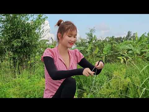 Câu Cá Viền Bắt Trê Lớn Bằng Mồi Này Mùa Nước Rất Nhiều