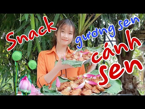 Thôn Nữ Dùng Cánh Sen Nhụy Sen Hái Được Trong Cánh Đồng Đem