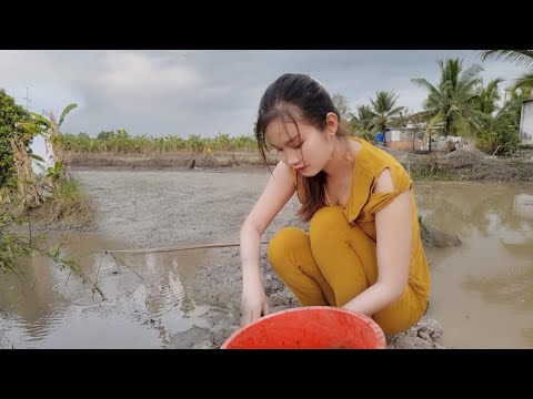 Bắt Cá Đơn Giản Hiệu Quả Nhất Của Hai Mẹ Con Sông Nước Miền