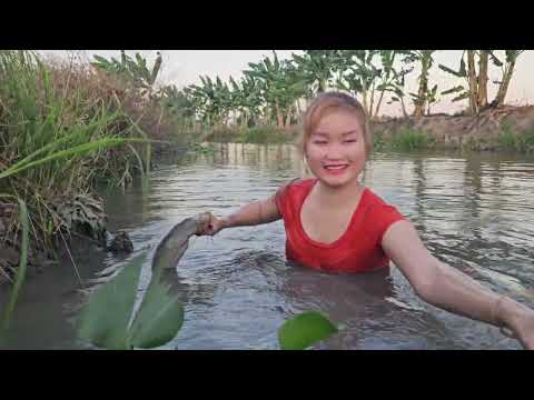 Bắt Cá Lớn Dưới Hang Sâu Khu Vực Tràm Cháy Vẫn Còn Rất