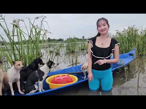 Giật Mình Bẫy Cá Khu Cỏ Lát Bắt Con Rắn Khi Nước Ngập Trúc
