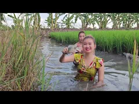 Nghe Tiếng Chó Sủa Tức Tốc Chạy Ra Phát Hiện Con Này Trong