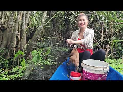 Trở Lại Rừng Hoang Trúc Phương Săn Bầy Cá Lớn Mùa Mưa Bão