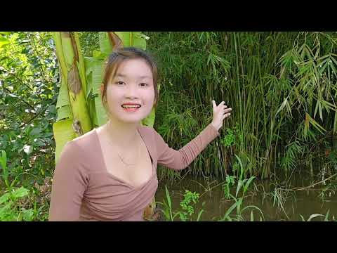 Săn Những Con Cá Rô Đồng Ham Ăn Mùa Nước Lớn Trúc Phương