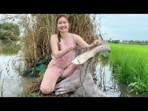 Săn Được Cá Cườm Khủng Siêu Phẩm Giữa Cơn Mưa Bão Giant