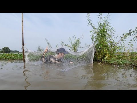 Thôn Nữ Chế Tạo Vũ Khí Bẫy Cá Kì Lạ Bắt Cá Hiệu Quả Bằng