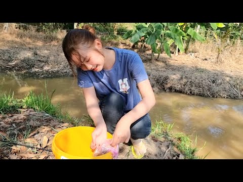 Trúc Phương Lập Công Liên Tục Bắt Toàn CÁ RÔ Ú Cùng Mẹ