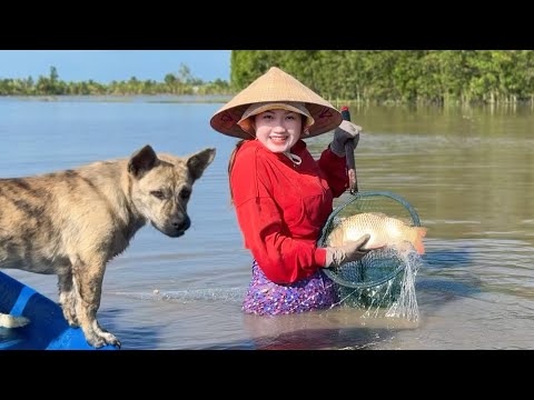 Lao Nhanh Xuống Ruộng Mới Bắt Được Con Cá Lớn Này Mùa Nước