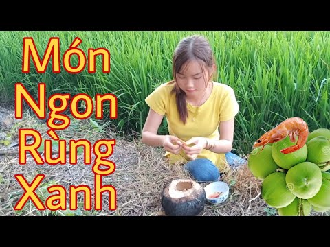 Món Ngon Rừng Xanh Quê Em Món Ngon Mỗi Ngày Miền Tây Trúc