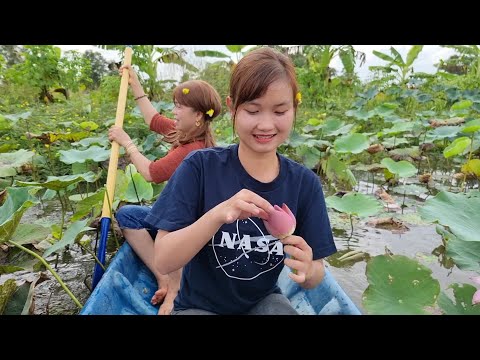 Bẫy Cá Lung Sen Khu Ngọc Hoàng Trúc Phương Vlog