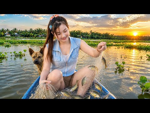 LŨ Lên NƯỚC NỔI Tràn Đồng Săn Cá Lẫn CHUỘT Rộn Ràng Thấy Mê
