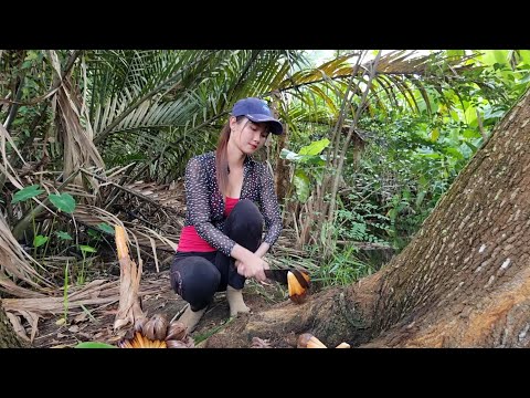 Bí Mật Của Rừng Nơi Đặt Bẫy Dẫn Lối Cho Sự Sinh Tồn Tìm