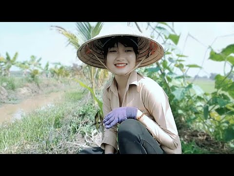 Thôn Nữ Băng Rừng Lớn Săn Thủy Quái Vào Tận Ổ Bắt Cá Khủng