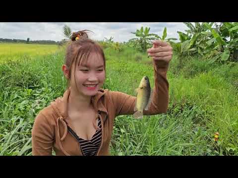 Bắt Dế Câu Cá Rô Đồng Dưới Con Mương Lâu Năm Nhiều Vô Kể