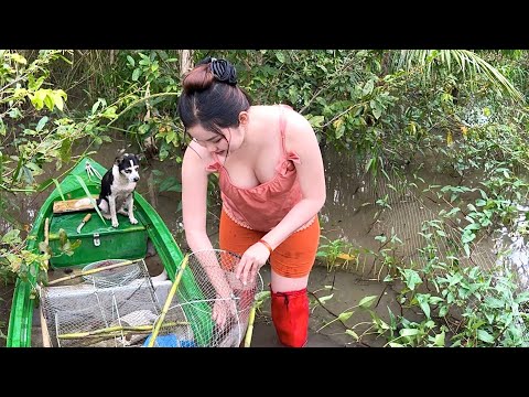Nghe Cá Lớn Táp Cạnh Nhà Hạ Luồng Bẫy Mới Cái Nào Cũng Dính