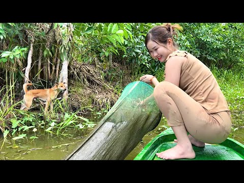 Săn Cá RẮN Lươn Địa Điểm Neo Bẫy Không Bao Giờ Dừng Lại