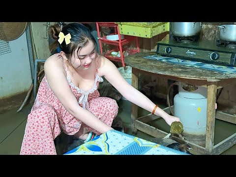 Câu Cá Trong Nhà Ngày Con Nước Cạn Giậ Dính Ếch Già Mê Mồi
