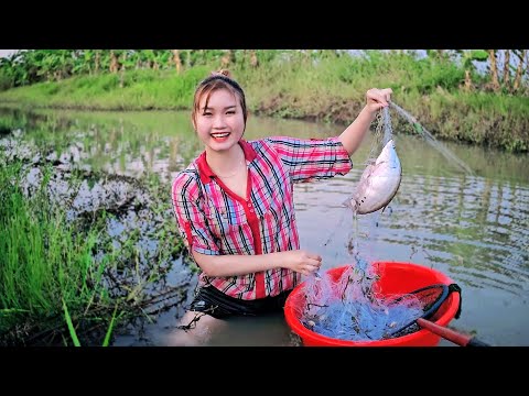 Con Cá Lớn Rất Khỏe Đã Dính Bẫy Cho Lần Giăng Lưới Bắt Cá