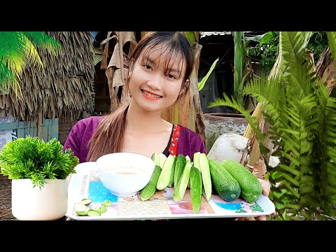 Thôn Nữ Miền Tây Ra Vườn Mót Dưa Leo Về Chấm Chao Thay Cơm