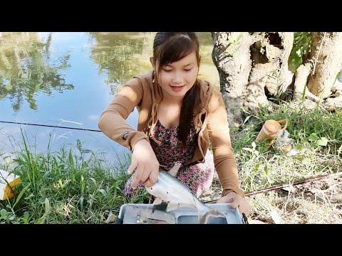 Câu Cá Tra Với Mồi Cám Trúc Phương Tìm Cảm Giác Kéo Cá Đã
