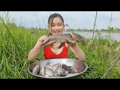 Bắt Cá Mùa Nước Cạn Em Gái Trúng Mánh Đầy Thau Cá Khủng