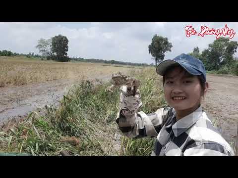 Thôi Bẫy Ếch Thôn Nữ Ra Đồng Đào Hang Truy Tìm Tận Ổ Trúc