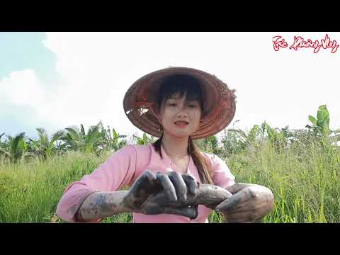 Thôn Nữ Vớt Trúng Bầy Cá Trong Khu Cỏ U Du Mùa Này Rất