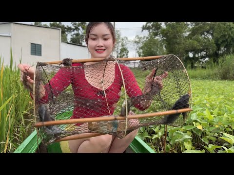 Thăm hàng chục chiếc lờ Bẫy Cá khu cỏ gạo xem được con gì