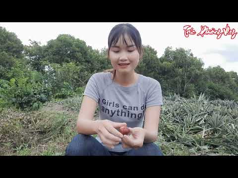 Một Ngày Thôn Nữ Truy Tìm Trái Sung Đỏ Để Làm Gì Trúc