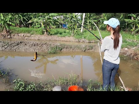 Cận Cảnh Gái Quê Bắt Cá Tay Rung Rung Thi Vướn Lên Dây Điện