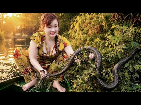 Rắn Khủng Nhiều Lần Phá Bẫy Tẩu Thoát Đã Bị Bắt Sau Mưa