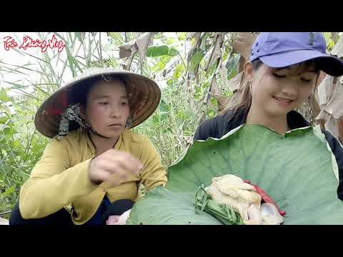 Thôn Nữ Ra Đồng Hái Sen Làm Món Gà Nướng Lá Sen Tạ Lỗi Với