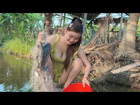 Giăng Lưới Dọc Theo Bờ Dừa Trúng Luồng Cá Lôi Ngập Phao