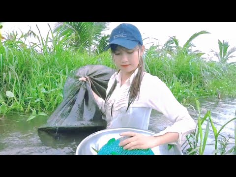 Thôn Nữ Ra Đồng Giăng Lưới Bắt Cá Quá Sốc Khi Thử Thăm Dớn