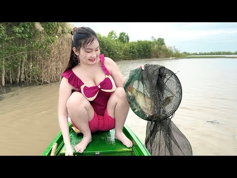 Sửng Sốt CHIM LẶN Bay Rất Cao Khi Đang Bắt Cá Giữa Ruộng