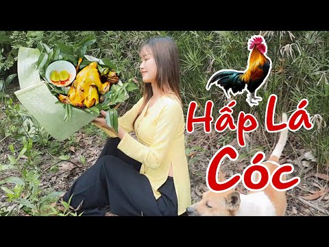 Thôn Nữ Làm Món Gà Hấp Muối Lá Cóc Ngoài Vườn Miền Tây Trúc
