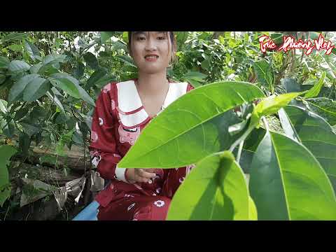 Thôn Nữ Tung 12 Cửa Ngục Xuống Sông Bẫy Cá Thu Về Số Cá